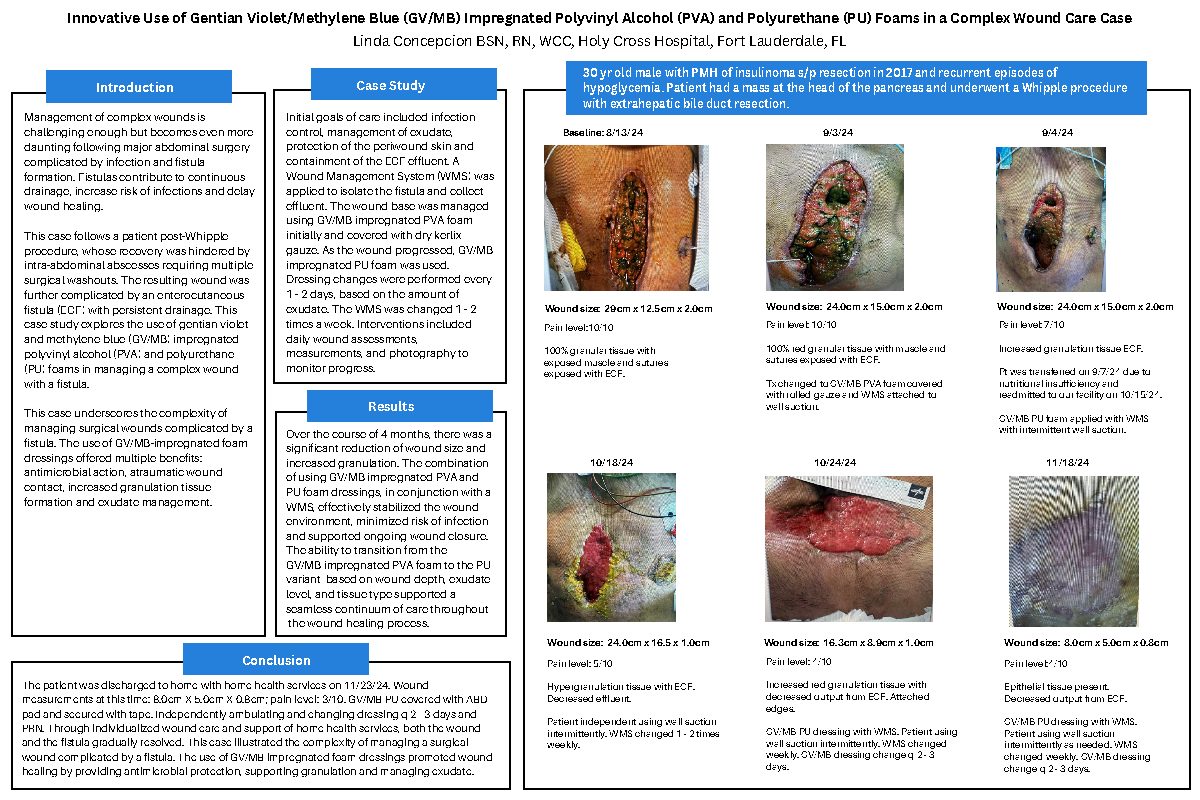 Cover preview for Innovative Use of Gentian Violet/Methylene Blue (GV/MB) Impregnated Polyvinyl Alcohol (PVA) and Polyurethane (PU) Foams in a Complex Wound Care Case